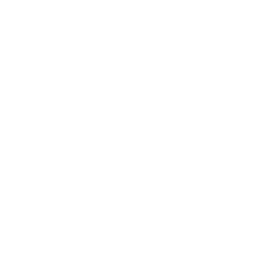 Play AVIATOR at Ricky